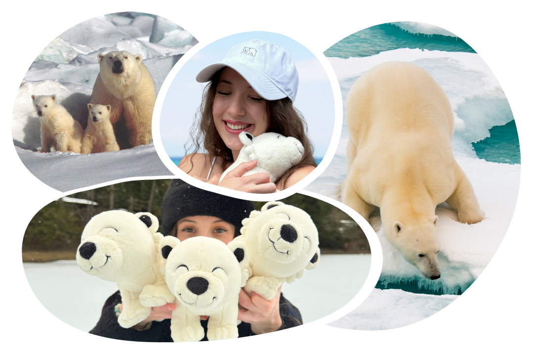 Polar Bear Plushie