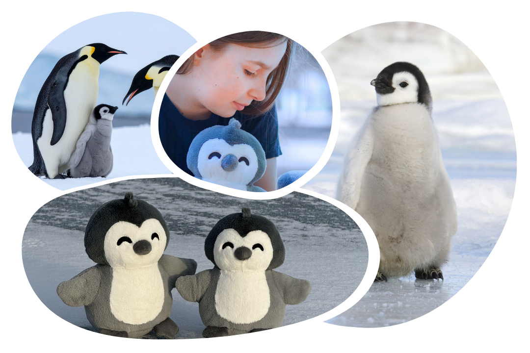 Penguin Adoption Plushie