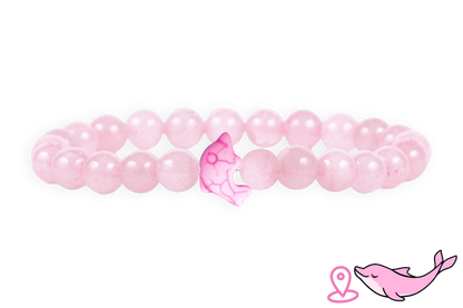 Dolphin Tracking Bracelet