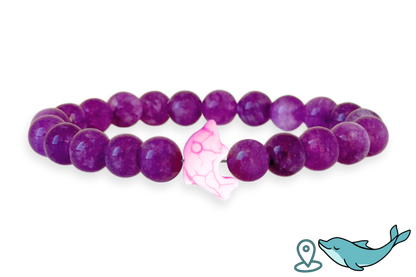 Dolphin Tracking Bracelet