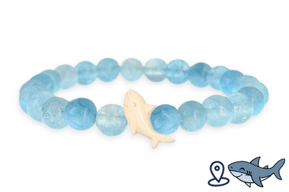 Shark Tracking Bracelet