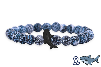 Shark Tracking Bracelet