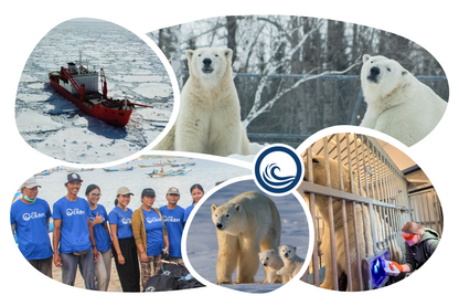 Polar Bear Adoption Cap