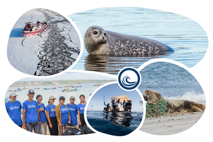 Seal Adoption Cap