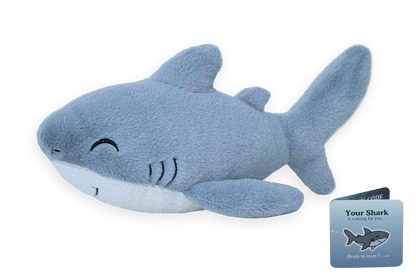 Shark Adoption Plushie
