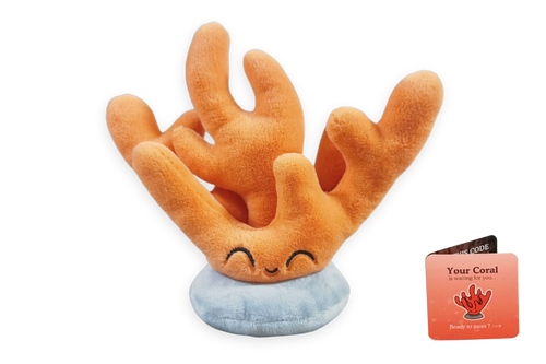 Coral Adoption Plushie