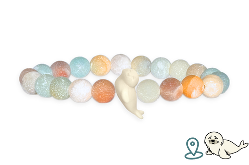 Seal Tracking Bracelet