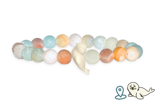 Seal Tracking Bracelet