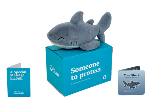 Shark Plushie