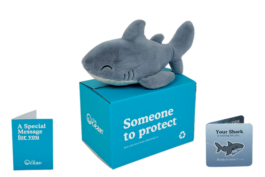 Shark Plushie