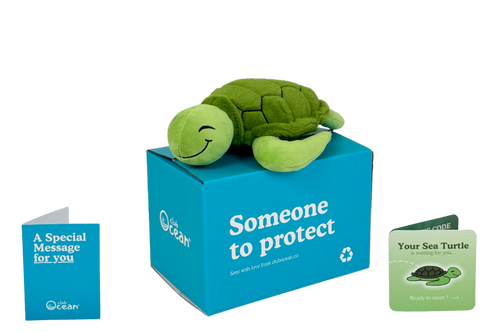 Turtle Plushie