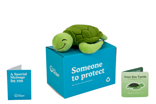 Turtle Plushie