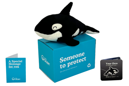 Orca Plushie