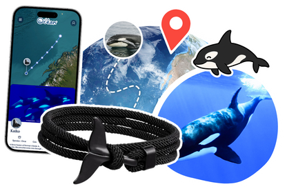 Orca Tracking Bracelet