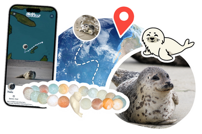 Seal Tracking Bracelet