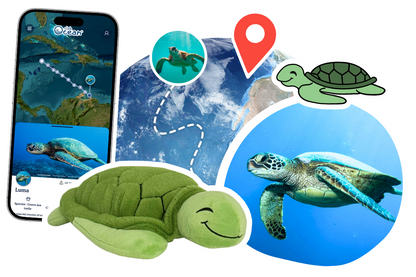 Turtle Adoption Plushie