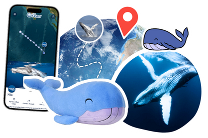Whale Adoption Plushie