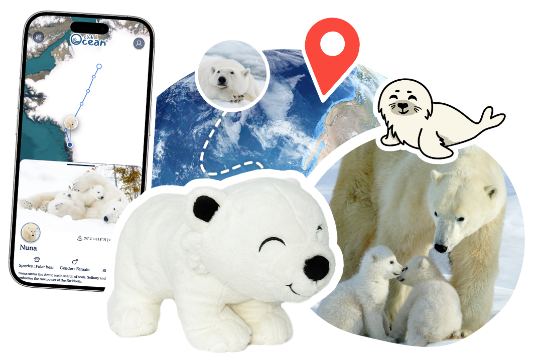 Polar Bear Plushie