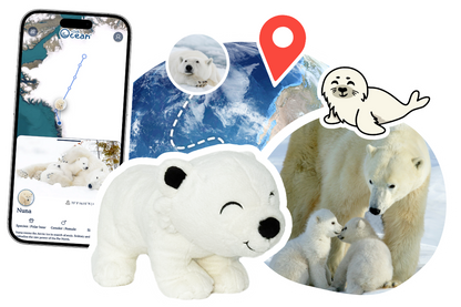 Polar Bear Plushie