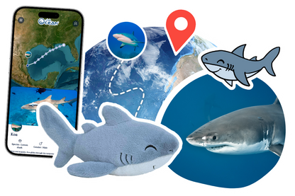 Shark Adoption Plushie