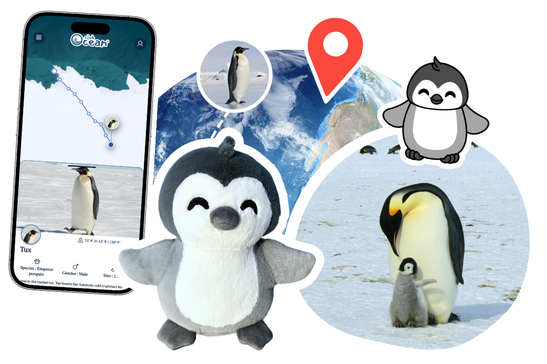 Penguin Adoption Plushie