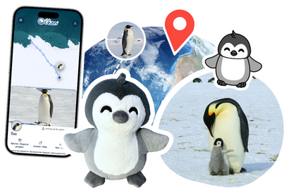 Penguin Adoption Plushie