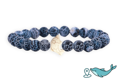 Dolphin Tracking Bracelet