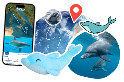 Dolphin Plushie
