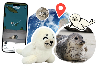 Seal Plushie