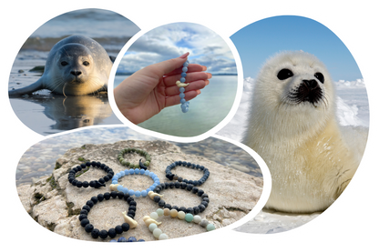 Seal Tracking Bracelet