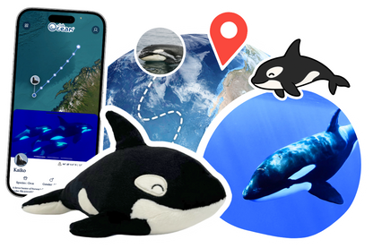 Orca Adoption Plushie