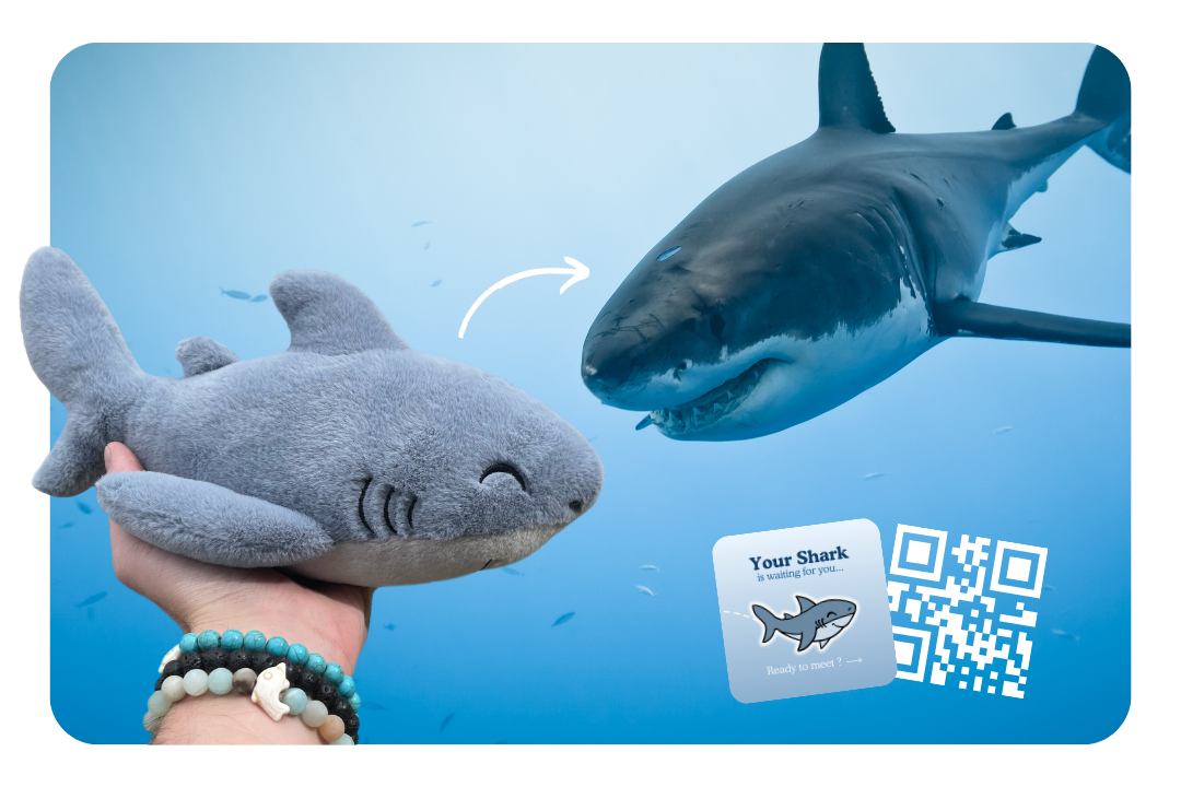 Shark Plushie