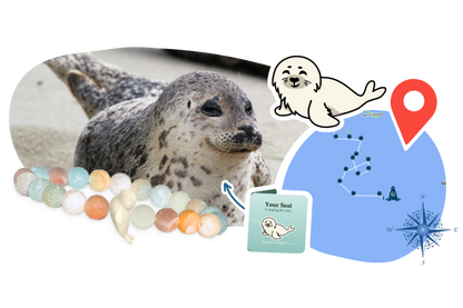 Seal Tracking Bracelet