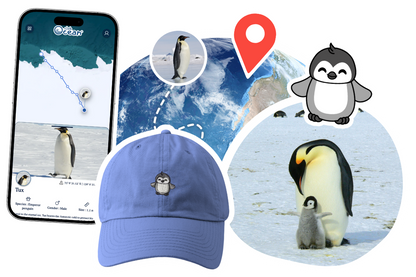 Penguin Adoption Cap