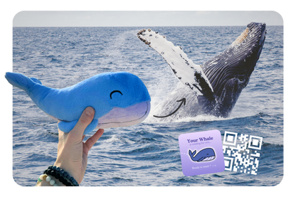 Whale Adoption Plushie