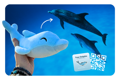 Dolphin Adoption Plushie