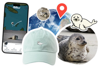 Seal Adoption Cap