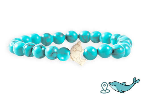 Dolphin Tracking Bracelet