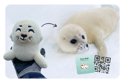 Seal Plushie