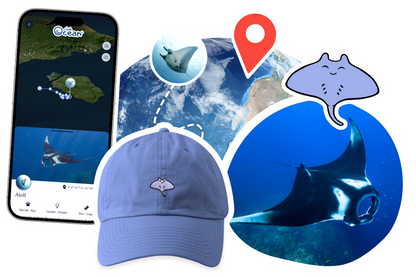 Ray Adoption Cap