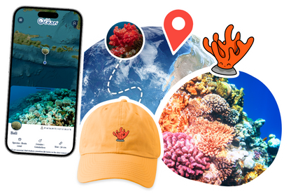 Coral Adoption Cap