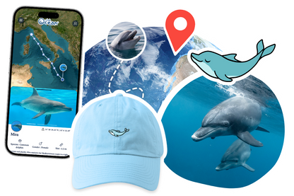 Dolphin Adoption Cap