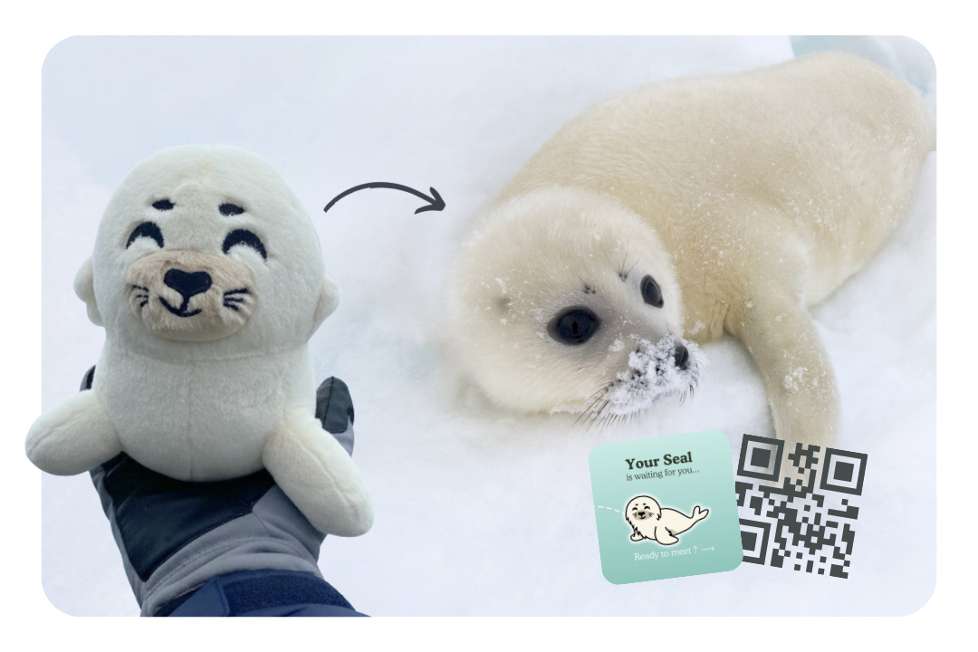 Seal Adoption Plushie