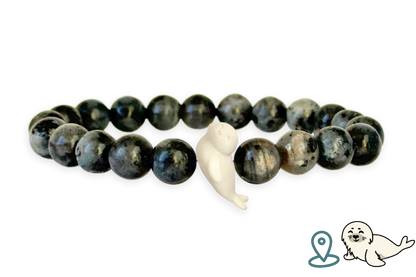 Seal Tracking Bracelet