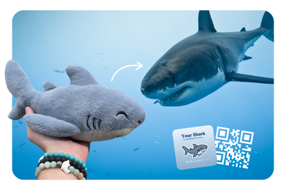 Shark Adoption Plushie