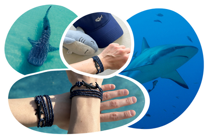 Shark Tracking Bracelet