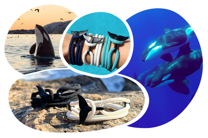 Orca Tracking Bracelet