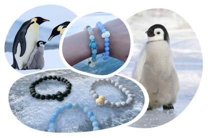 Penguin Tracking Bracelet