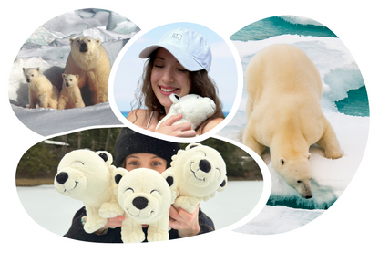 Polar Bear Plushie