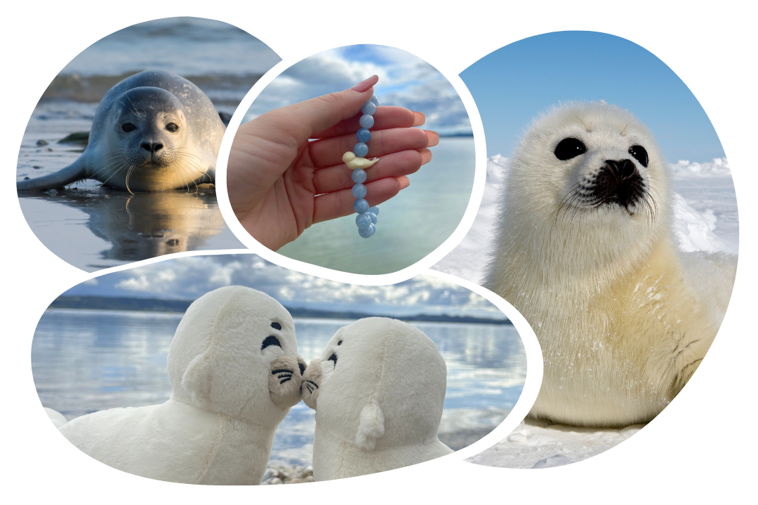 Seal Adoption Plushie